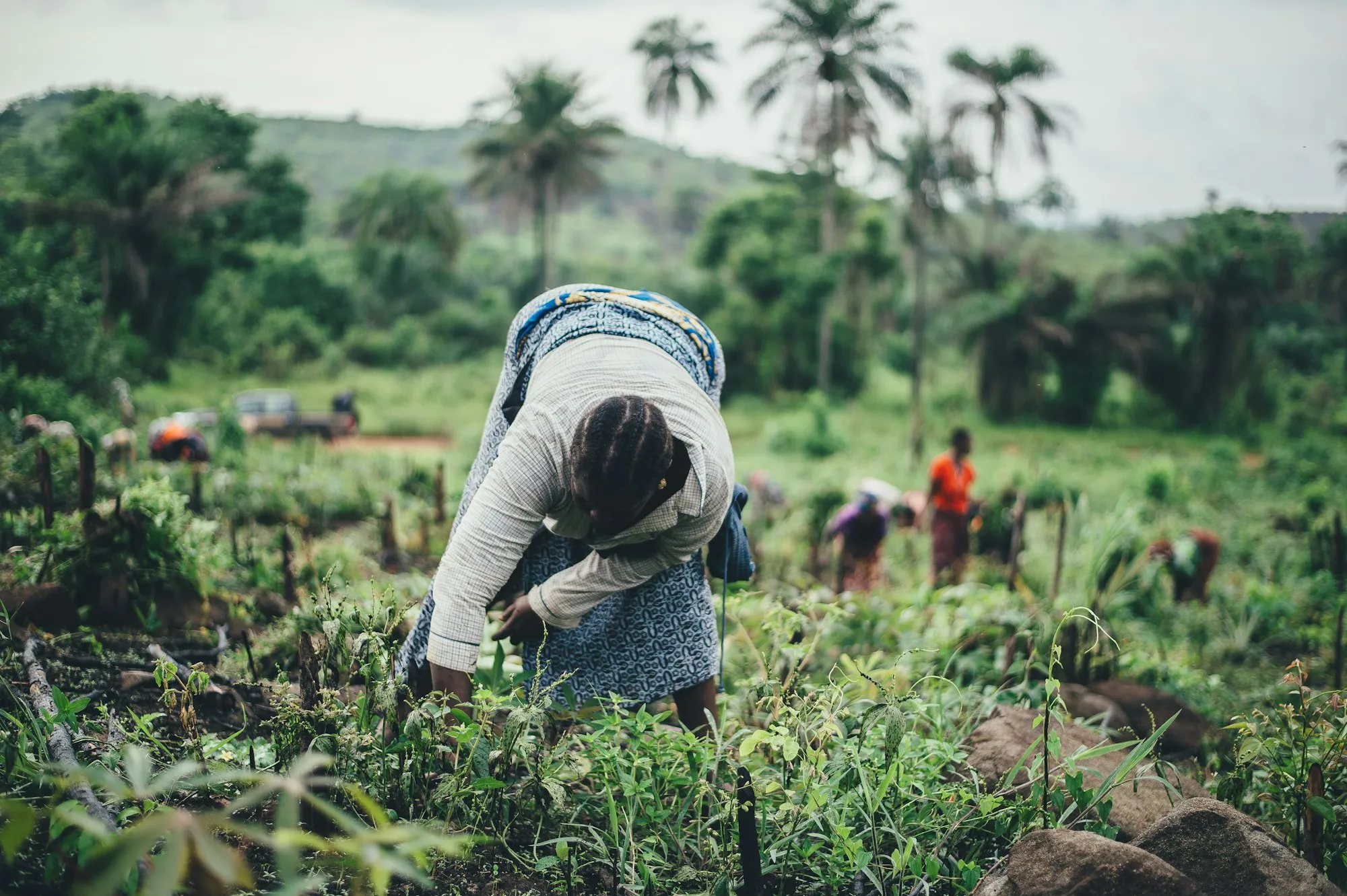 Farmers using modern agricultural techniques