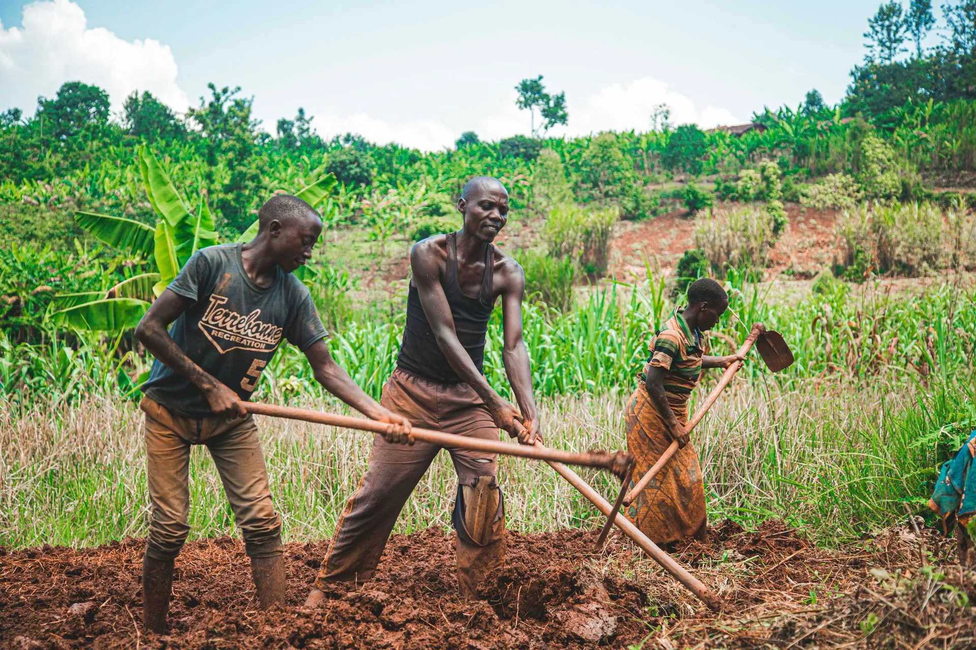 Farmers plowing a field together in a rural setting