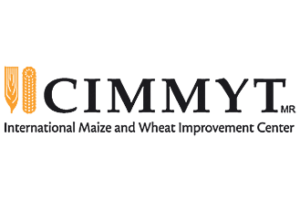 CIMMYT: International Maize and Wheat Improvement Center