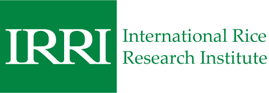 IRRI: International Rice Research Institute